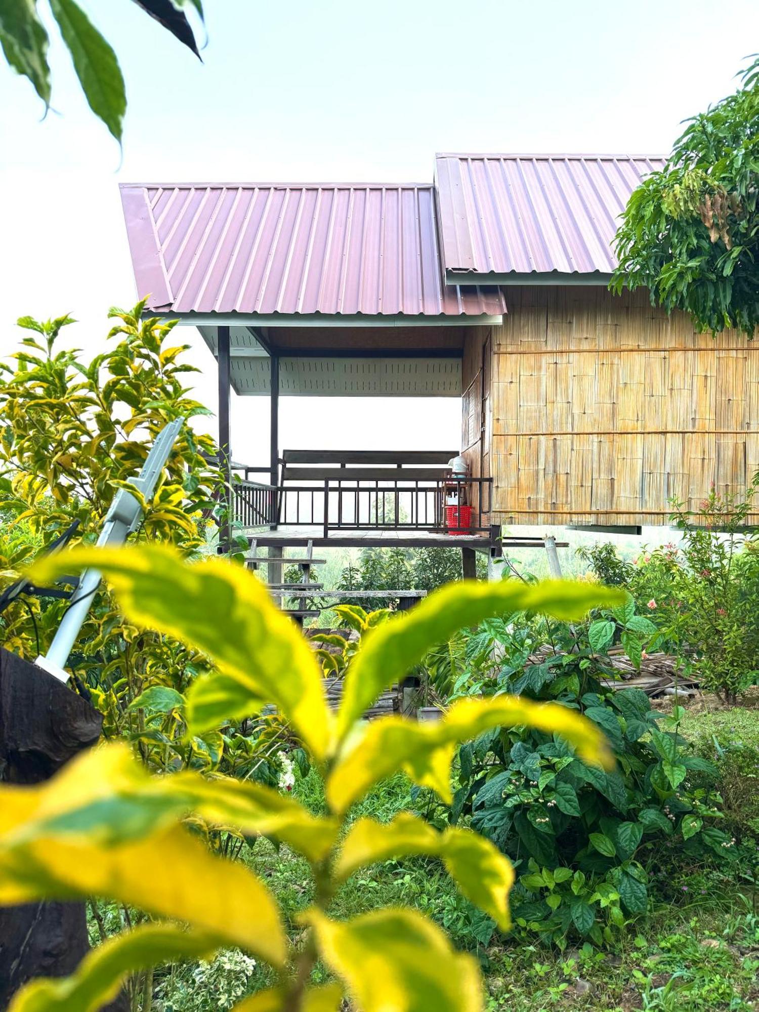 Doicherngngam Home Stay Chiang Dao Εξωτερικό φωτογραφία