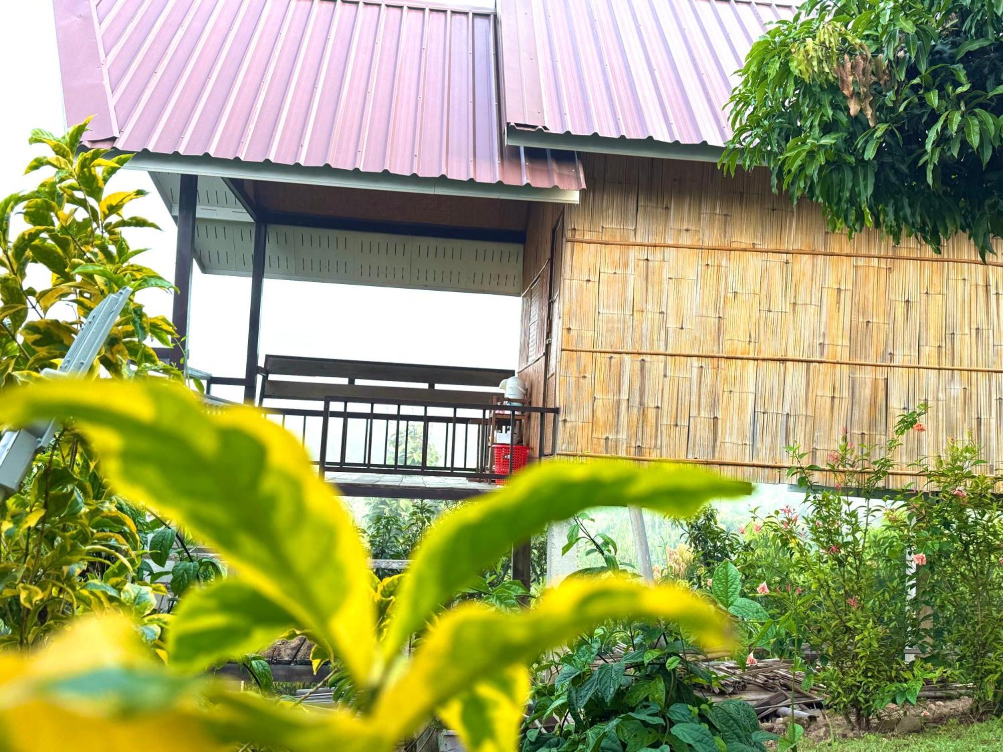 Doicherngngam Home Stay Chiang Dao Εξωτερικό φωτογραφία
